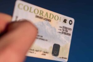 Cómo sacar licencia de conducir en Colorado sin papeles 2024